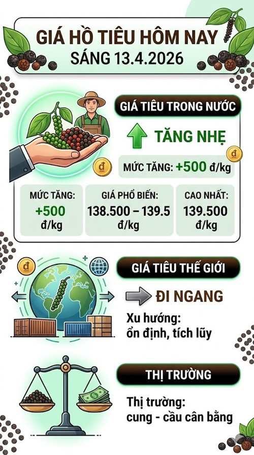 Giá hồ tiêu hôm nay 13.4: thị trường đang duy trì xu hướng ổn định - ảnh 3