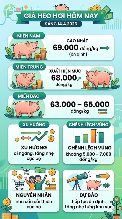Giá heo hơi hôm nay 14.4: Duy trì đỉnh 69.000 đồng/kg - ảnh 3