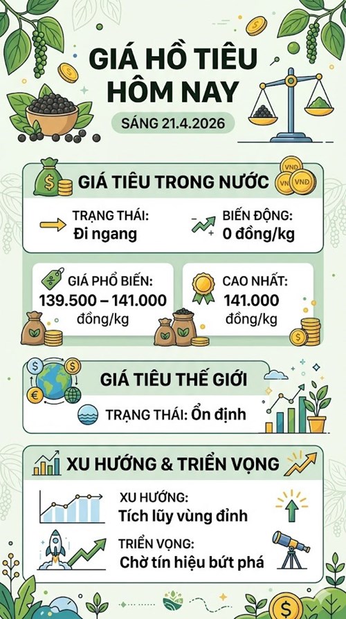 Giá hồ tiêu hôm nay 21.4: Ổn định ở vùng giá cao - ảnh 3