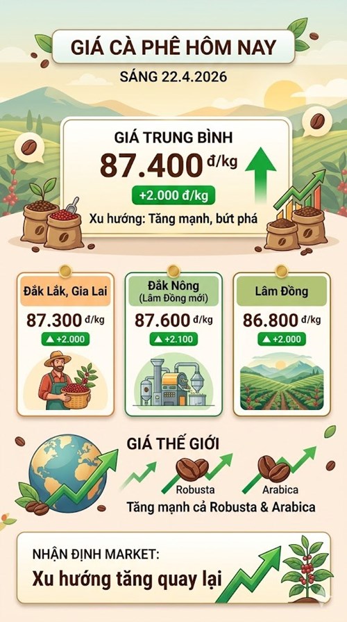 Giá cà phê hôm nay 22.4: Cà phê Tây Nguyên tăng sốc theo giá thế giới - ảnh 3