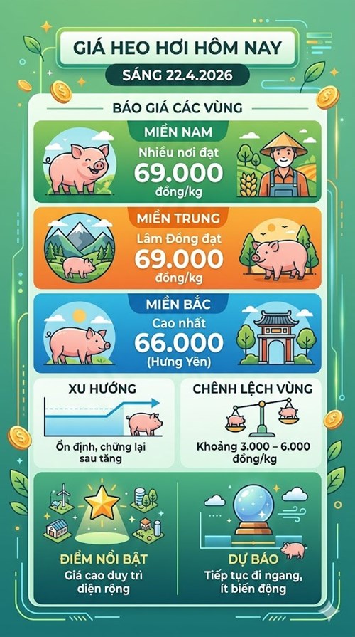 Giá heo hơi hôm nay 22.4: Thị trường ổn định, chưa có đột biến - ảnh 3