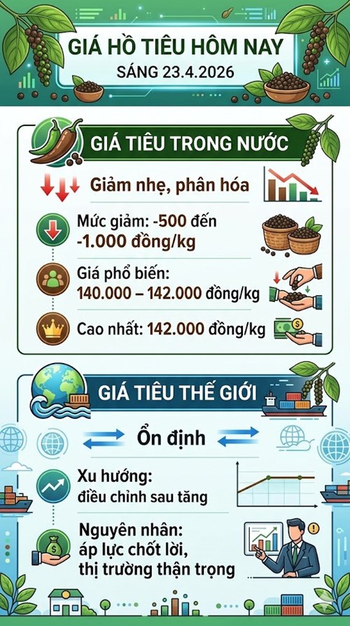 Giá hồ tiêu hôm nay 23.4: Chững lại, áp lực giảm xuất hiện - ảnh 3