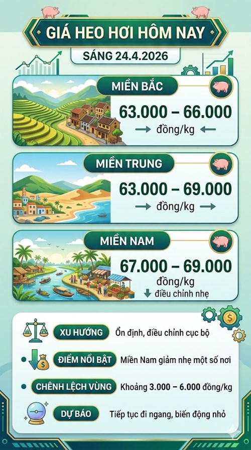 Giá heo hơi hôm nay 24.4: Xuất hiện biến động cục bộ - ảnh 3