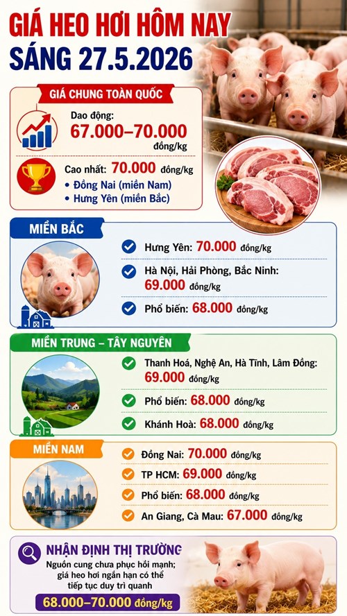 Giá heo hơi hôm nay 27.5 ổn định, nhiều địa phương duy trì vùng giá cao - ảnh 3