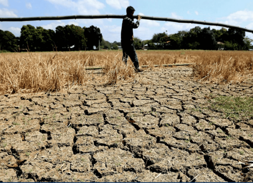 Mức độ cực đoan của El Niño có thể đang bị đánh giá cao hơn thực tế. Ảnh minh họa