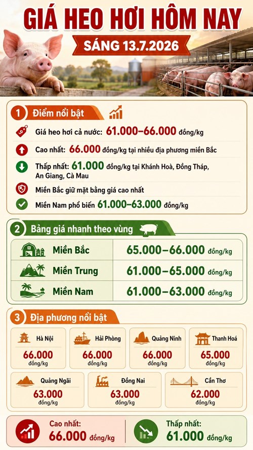 Giá heo hơi hôm nay 13.7 : Miền Bắc neo cao, miền Nam vẫn trầm lắng - ảnh 3