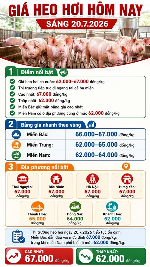 Giá heo hơi hôm nay 20.7: Bốn địa phương cùng dẫn đầu cả nước - ảnh 3