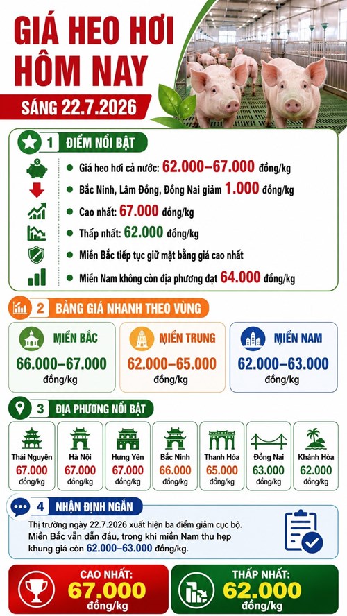 Giá heo hơi hôm nay 22.7: Miền Bắc vẫn dẫn đầu thị trường - ảnh 3