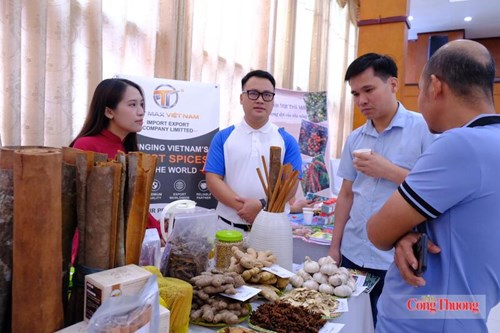 Diễn đàn còn có các hoạt động giới thiệu và trưng bày sản phẩm tiềm năng. Ảnh: Lê An