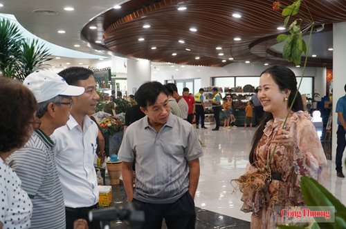 Lễ hội Sâm Ngọc Linh và Dược liệu quốc Tế Đà Nẵng 2026 đạt kết quả ấn tượng về mặt thương mại