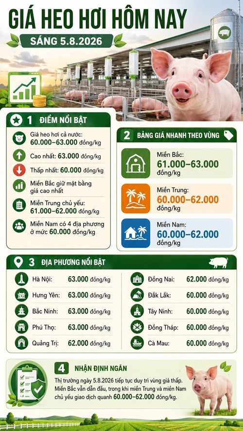 Giá heo hơi hôm nay 5.8.2026: Thị trường tiếp tục lùi nhẹ tại nhiều nơi - ảnh 3