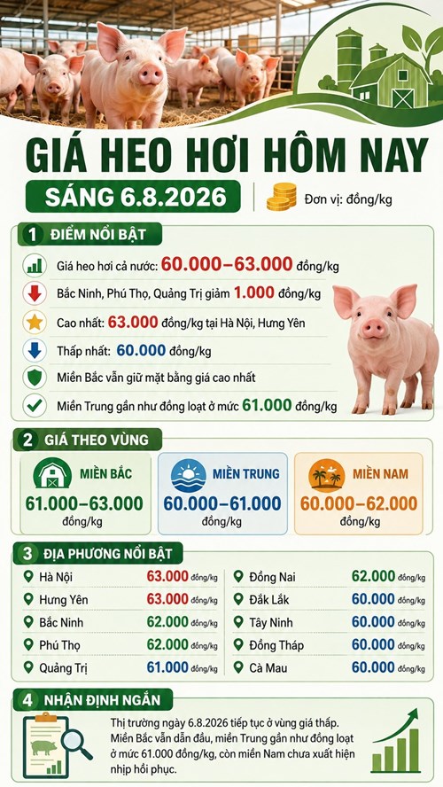 Giá heo hơi hôm nay 6.8: Hà Nội, Hưng Yên giữ đỉnh 63.000 đồng/kg - ảnh 3