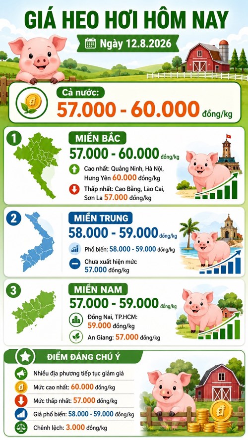 Giá heo hơi hôm nay 12.8.2026: Miền Bắc, miền Nam cùng giảm - ảnh 3