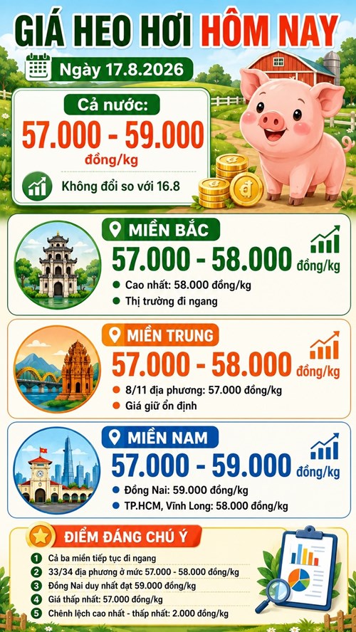 Giá heo hơi hôm nay 17.8.2026: Cả nước tiếp tục đi ngang - ảnh 3