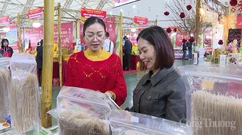 Chị Huyền Linh - đại diện Công ty cổ phần Đầu tư và Phát triển TAVINA giới thiệu sản phẩm đến khách tham quan Hội chợ Mùa Xuân.