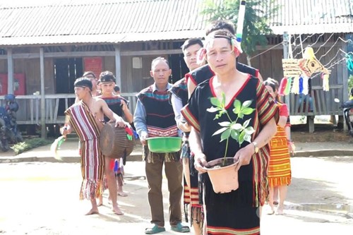 Phiên chợ sâm tại chợ đêm An Hải sẽ tái hiện những nét văn hóa của đồng bào Xơ Đăng gắn với sâm Ngọc Linh.