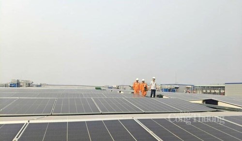 Việt Nam đã có nhiều chính sách nhằm thúc đẩy phát triển năng lượng tái tạo