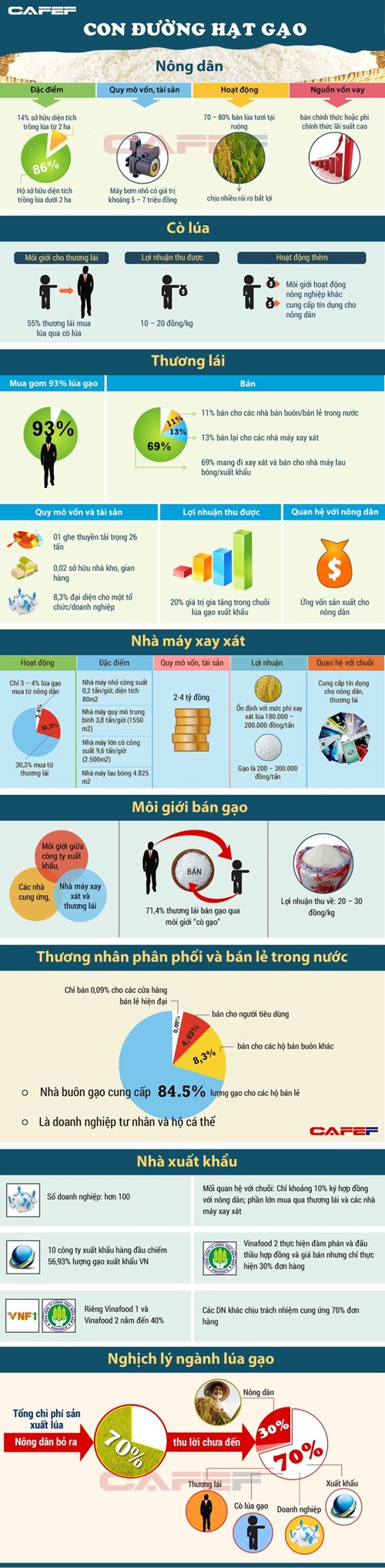  Cấu trúc chuỗi giá trị xuất khẩu gạo của Việt Nam (VERP) 