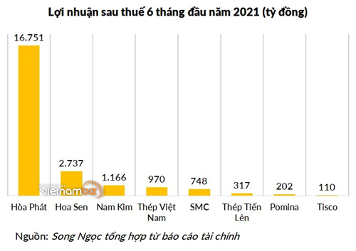 Nhiều doanh nghiệp thép tăng vốn lớn trong năm lãi đậm: Hòa Phát, Hoa Sen, Nam Kim, ... - Ảnh 1.