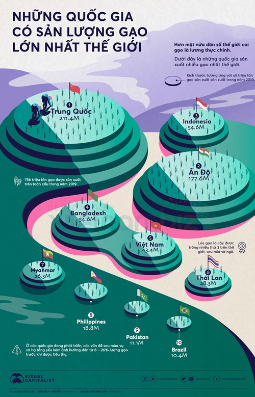 [Infographic] Điểm danh 10 quốc gia sản xuất lúa gạo lớn nhất thế giới - Ảnh 1.