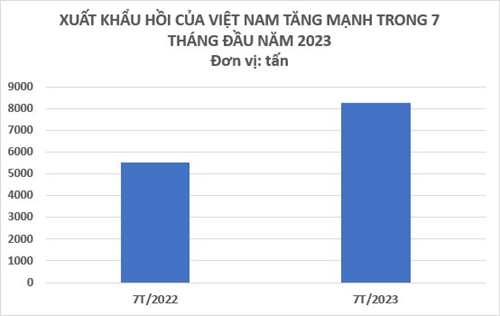 Việt Nam nắm giữ một loại nông sản quý hiếm chỉ rất ít quốc gia có: Xuất khẩu tăng mạnh trong 7 tháng đầu năm, từ Mỹ, Trung Quốc, Ấn Độ đều cực ưa chuộng dù giá đắt đỏ - Ảnh 2.