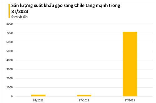 Một quốc gia Nam Mỹ bất ngờ gom mạnh gạo Việt Nam, nhập khẩu tăng hơn 4.000% trong 8 tháng - Ảnh 1.