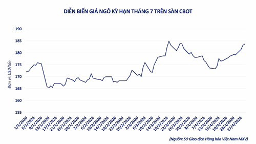 anh-3.-dien-bien-gia-ngo-ky-han-thang-7-tren-san-cbot.png