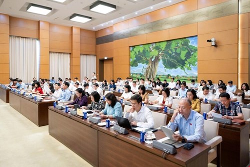 Các đại biểu tham dự cuộc họp.