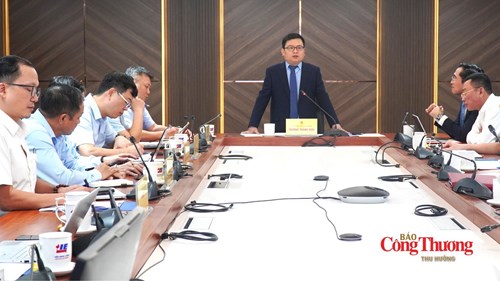 Thứ trưởng Trương Thanh Hoài phát biểu kết luận buổi làm việc