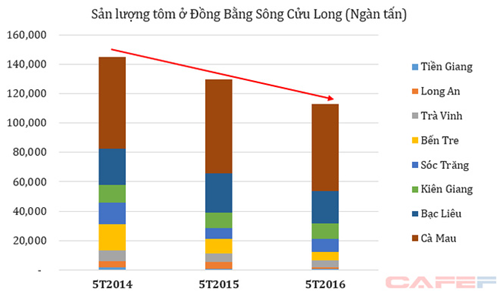 Sản lượng tôm ở Đồng Bằng Sông Cửu Long giảm 12% vì hạn hán
