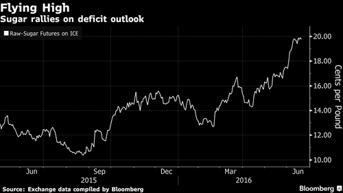 Diễn biến giá đường 1 năm qua