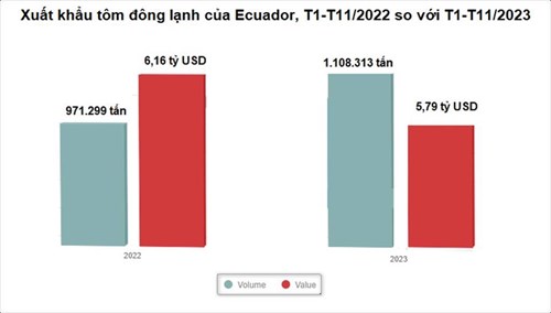 Xuất khẩu tôm của Ecuador năm 2023 lỗ 15 tỷ USD 