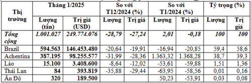 Thị trường nhập khẩu ngô tháng 1/2025 