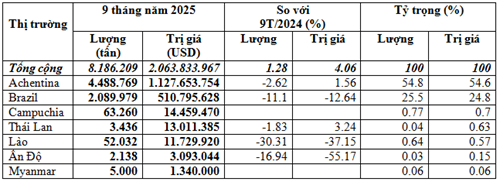 Nhập khẩu ngô 9 tháng năm 2025 tăng