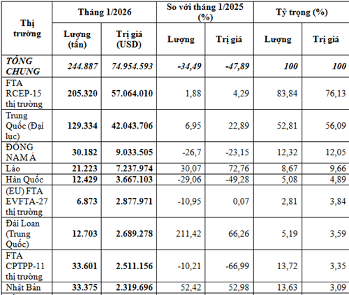 Nhập khẩu phân bón tháng 1/2026