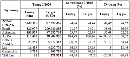 Nhập khẩu ngô tháng 1/2026