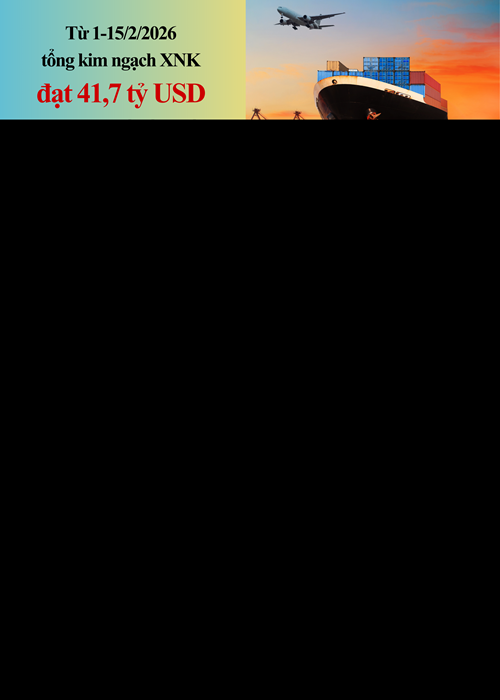 INFOGRAPHIC: Điểm nhấn xuất nhập khẩu nổi bật tính đến 15/2