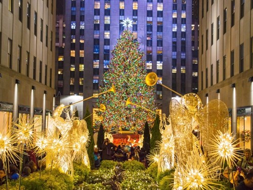 10 cây thông Noel đẹp nhất thế giới