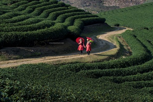 wanderlust-tips-toi-moc-chau-thang-12-am-lich-de-don-tet-cung-nguoi-hmong-15