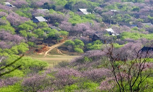 10 điểm 'gây thương nhớ' ở Mộc Châu