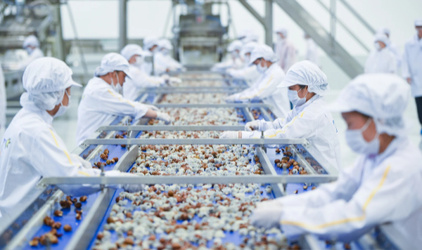 Xuất khẩu nông, lâm, thủy sản lập kỷ lục tạo đà bứt phá năm 2026 