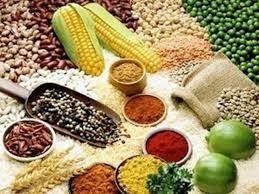 Carbon, truy xuất, MRL: 'Bộ lọc' mới với nông sản xuất khẩu Việt Nam