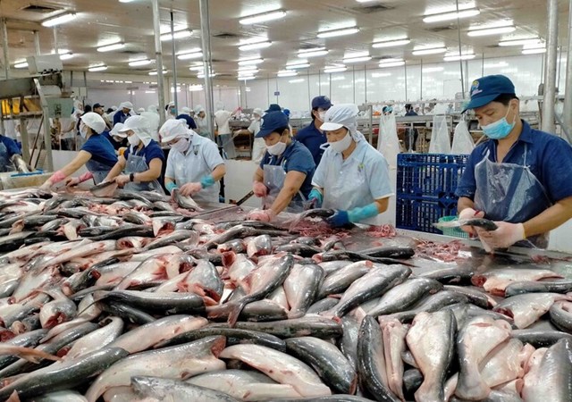 EVFTA giúp thủy sản Việt giữ vững kim ngạch tỷ USD tại thị trường EU