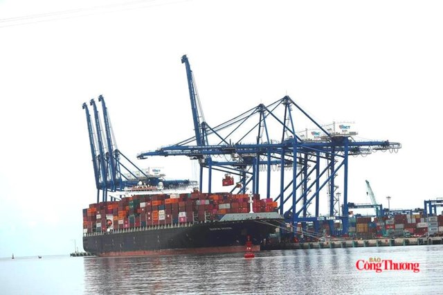 Tăng tỷ lệ tận dụng C/O CPTPP: Khuyến nghị từ chuyên gia