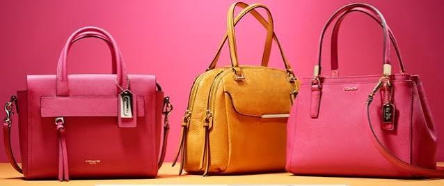 Thị trường xuất khẩu Vali, Túi xách của Việt Nam 5 tháng đầu năm và Dự báo cuối năm 2026