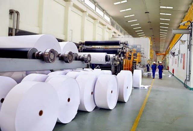 Thị trường nhập khẩu giấy Việt Nam: Trung Quốc và ASEAN chiếm ưu thế