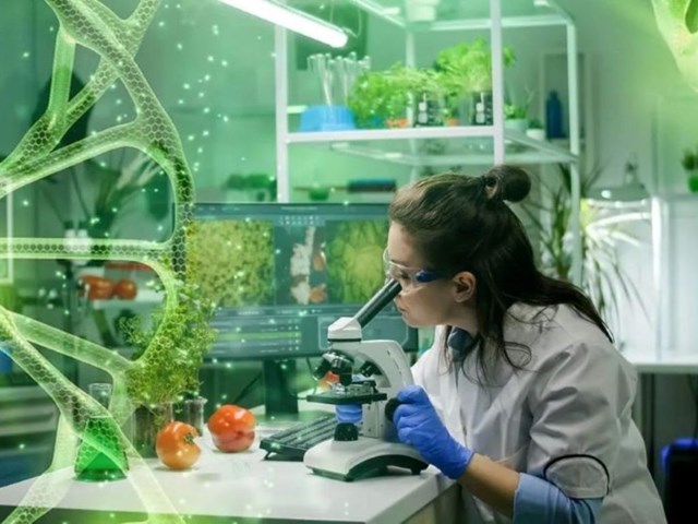 Phát triển công nghiệp sinh học, thay thế tối thiểu 50% sản phẩm nhập khẩu
