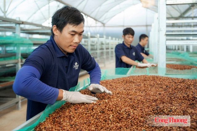 Từ lợi thế EVFTA đến ‘bài toán’ đáp ứng EUDR