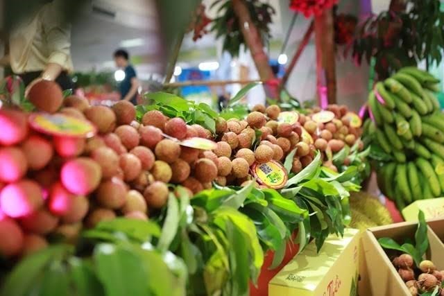 Kim ngạch xuất khẩu rau quả sẽ còn nhiều cơ hội tăng trưởng trong những tháng cuối năm