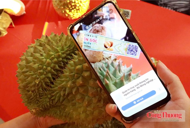 Nghị quyết số 36: Cơ hội chuẩn hóa vùng nguyên liệu sầu riêng